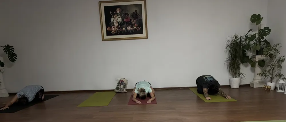 Zajęcia Zdrowy Kręgosłup w BodyShrine Myślenice
